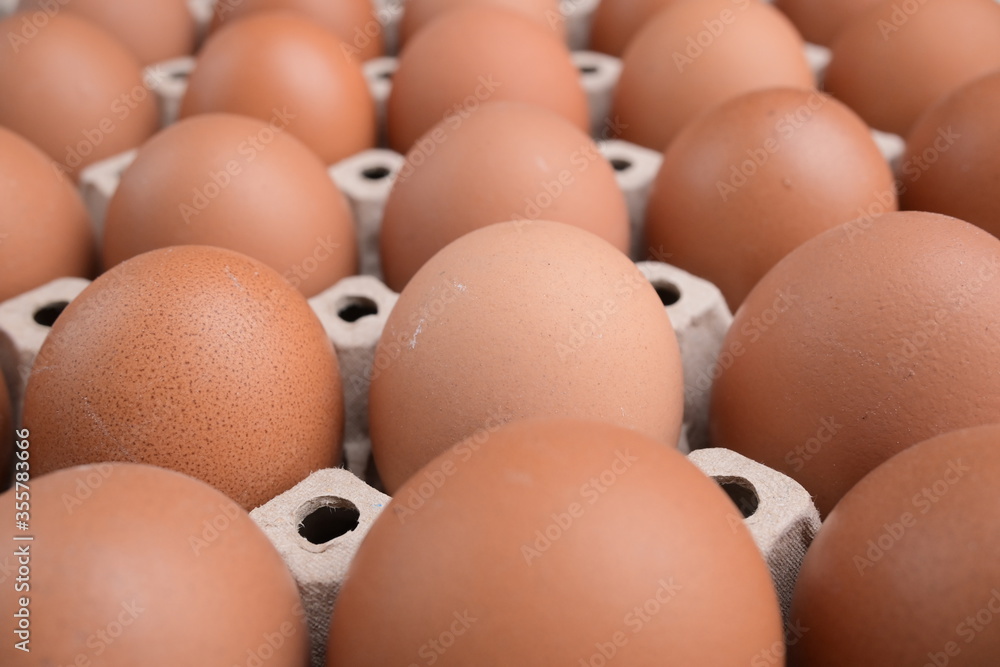 fresh organic egg in paper panel of consume industry fresh organic egg in paper panel of consume industry