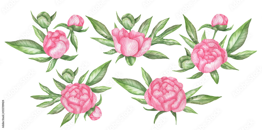 Compositions of peonies