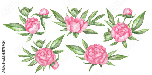 Compositions of peonies