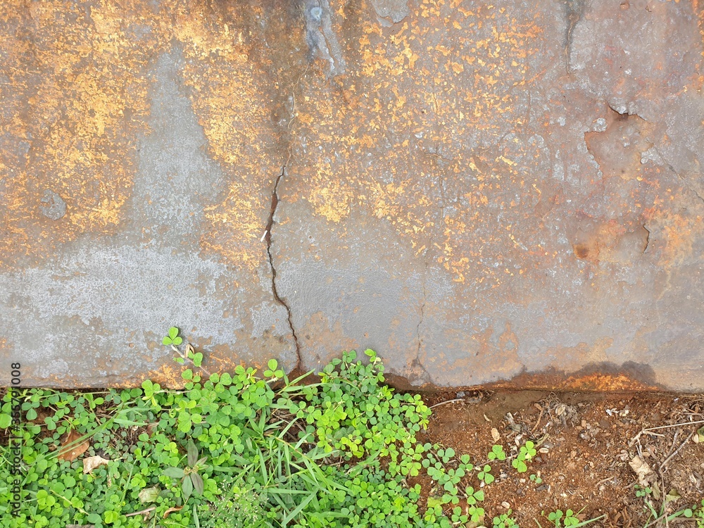 Green Grass and concrete background