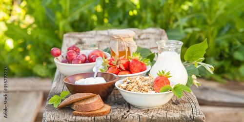 summer breakfast in a garden - cottage cheese, strawberry, muesli and milk. selective focus. style rustic