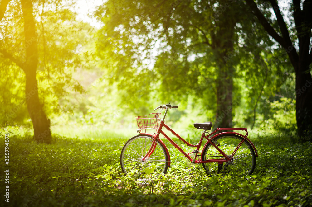 Vintage bicycle. Bicycle in green grass.