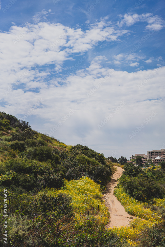 hiking trail in the hills with wildflowers hiking trail in the hills with wildflowers
