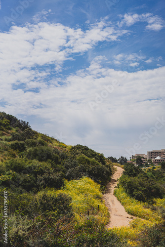hiking trail in the hills with wildflowers