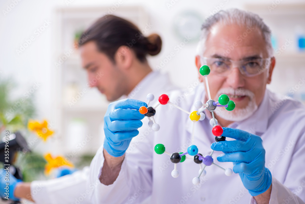 Two chemists working in the lab Two chemists working in the lab