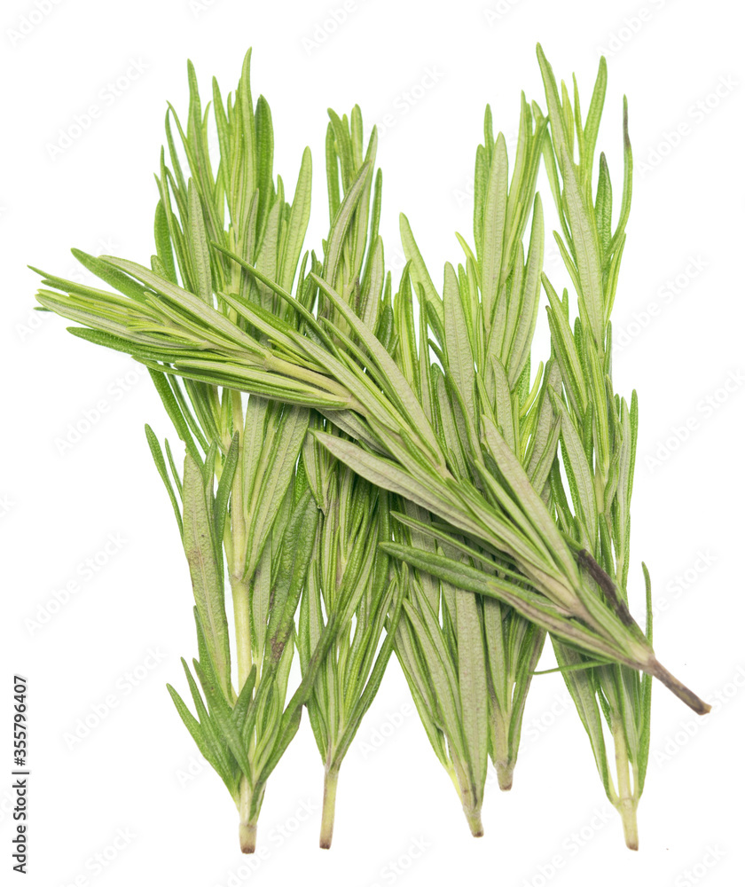Fototapeta premium Rosemary on white