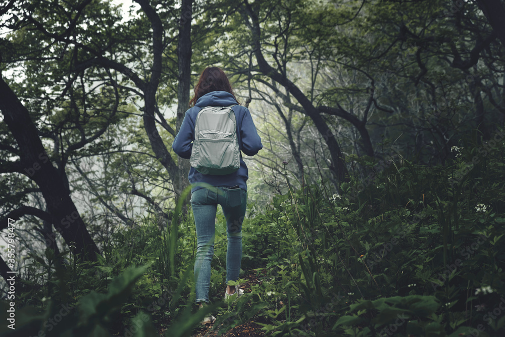 back view of a girl walking along a path through a gloomy mystical foggy forest. Travel and outdoor concept.