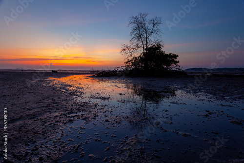 Mangrove forest silhouette with the sunset sky in Koh Phanagn  Surat Thani  Thailand.selective focus
