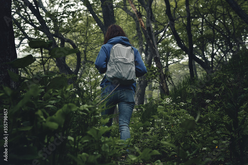 back view of a girl walking along a path through a gloomy mystical foggy forest. Travel and outdoor concept.