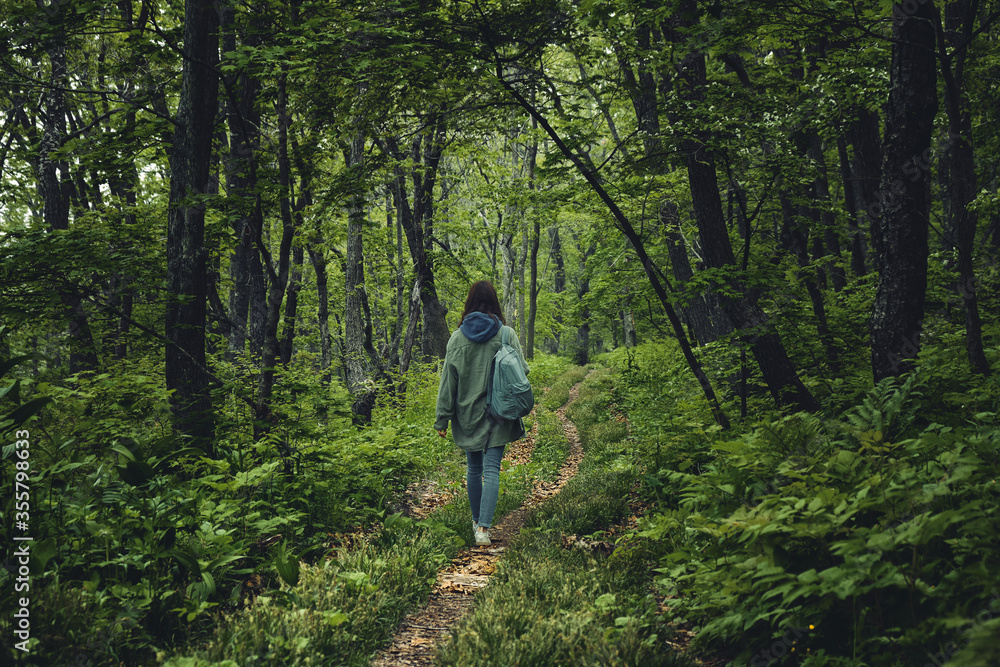 back view of a girl walking along a path through a gloomy mystical foggy forest. Walking and outdoor concept.