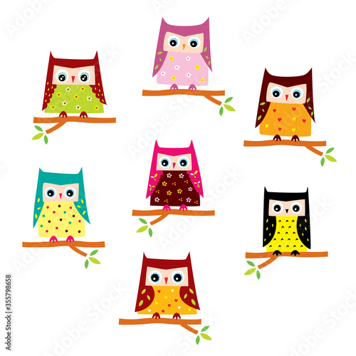 cute owl bird vector collection