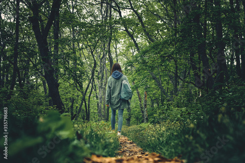back view of a girl walking along a path through a gloomy mystical foggy forest. Nature and outdoor concept.