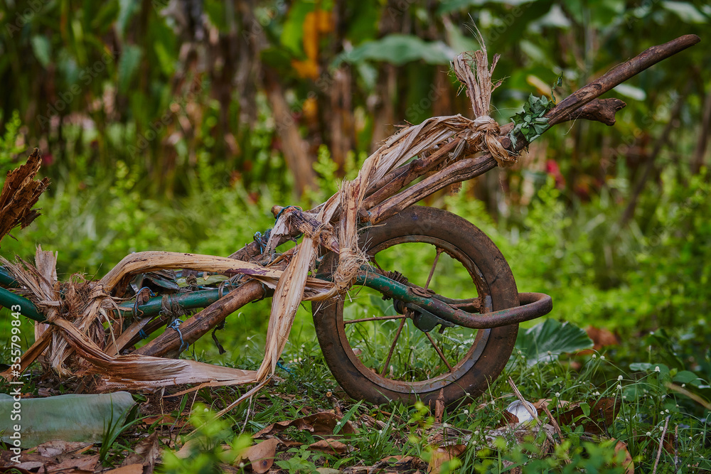 Wheelbarrow in Mayotte. Wheelbarrow in Mayotte.