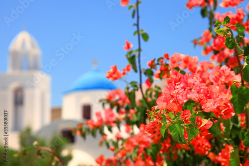 Orange bougainvillea flowers with a church in the background in the traditional village of Megalochori on the island of Santorini in Greece. photo