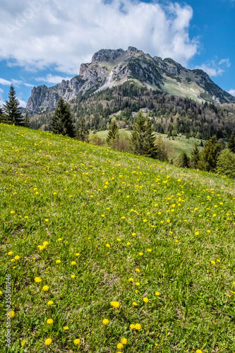 Big Rozsutec, Little Fatra, Slovakia, springtime scene