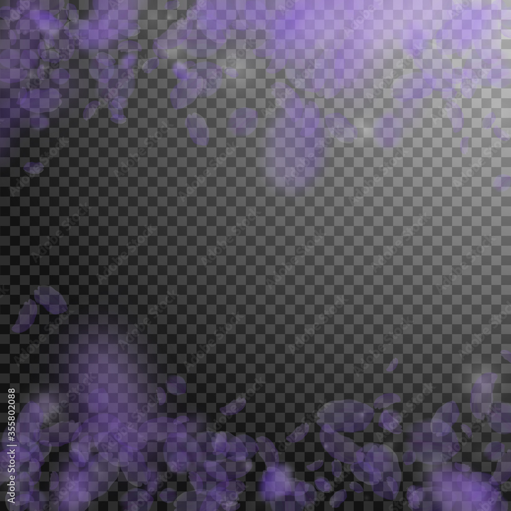 Violet flower petals falling down. Graceful romant Violet flower petals falling down. Graceful romant