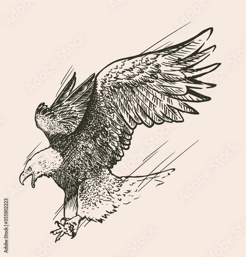 Hand drawn illustration of eagle catching, vector illustration