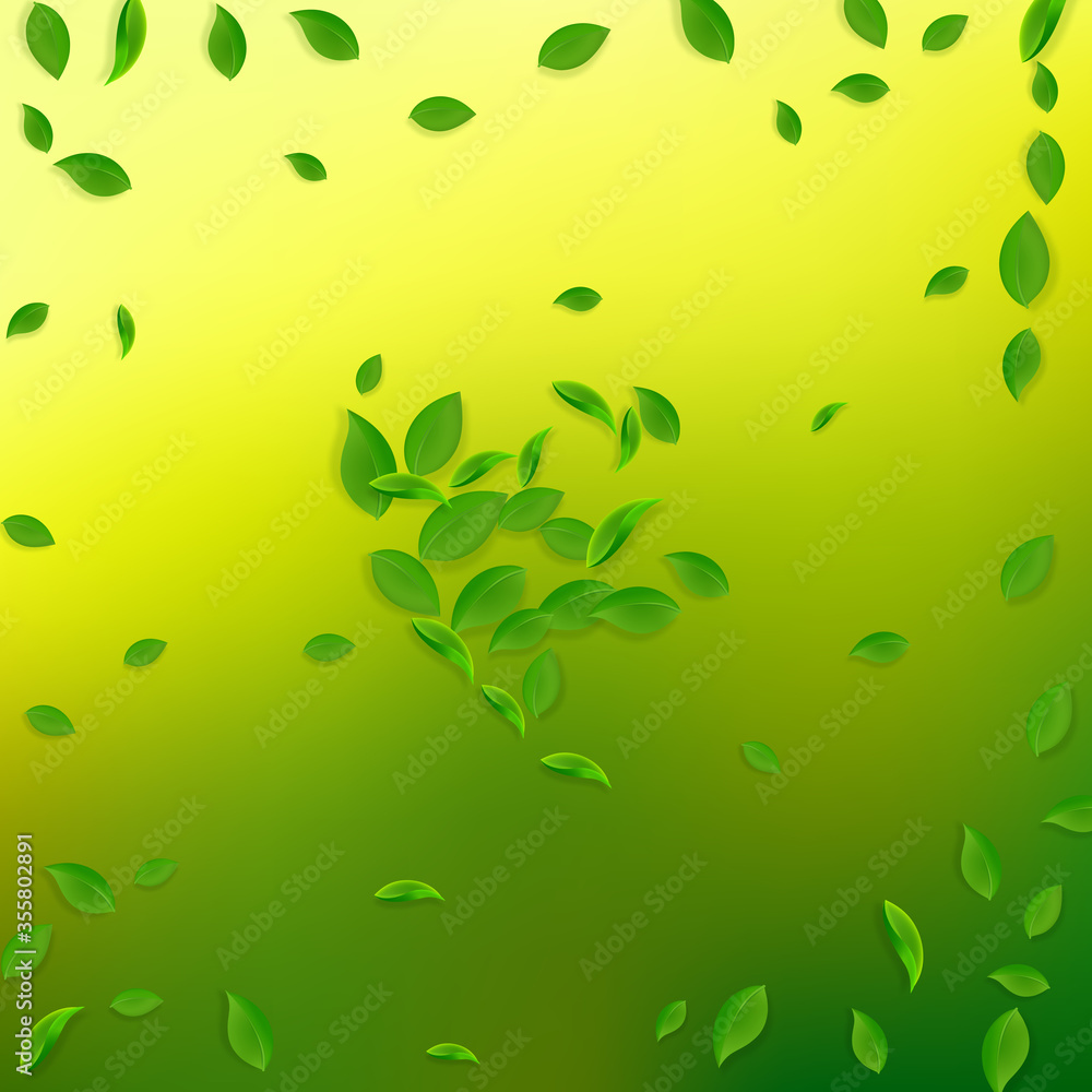 Falling green leaves. Fresh tea chaotic leaves fly Falling green leaves. Fresh tea chaotic leaves fly
