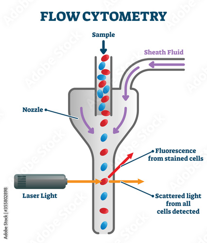 Flow cytometry vector illustration. Labeled measurement instrument scheme.