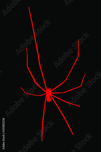 Daddy long legs spider vector silhouette isolated on black background. (Phalangium opiliones)