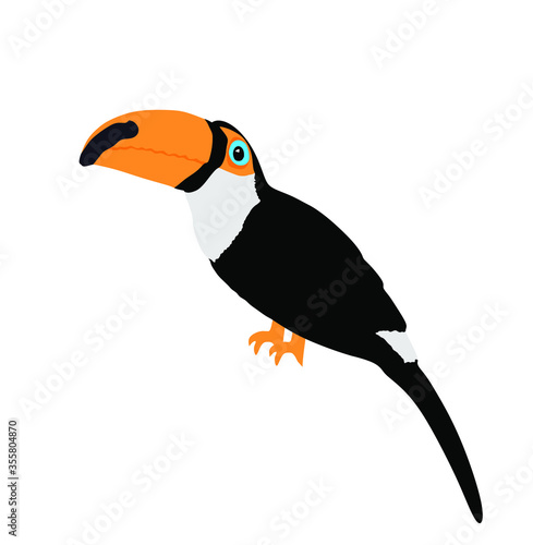 Toucan vector illustration isolated on white background. Exotic tropical bird from America.