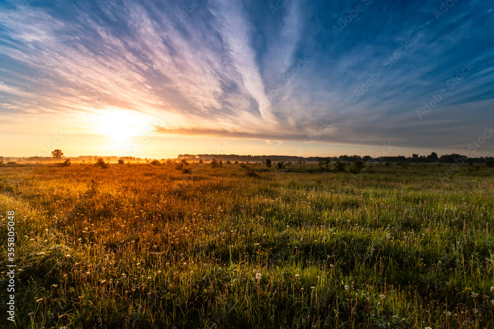 Beautiful summer sunrise in the field. Summer morning. Awakening of nature. Beautiful summer sunrise in the field. Summer morning. Awakening of nature.