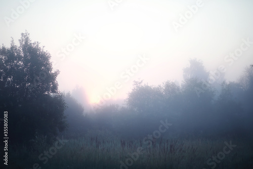 Fog in the lake. Morning nature water white fog.