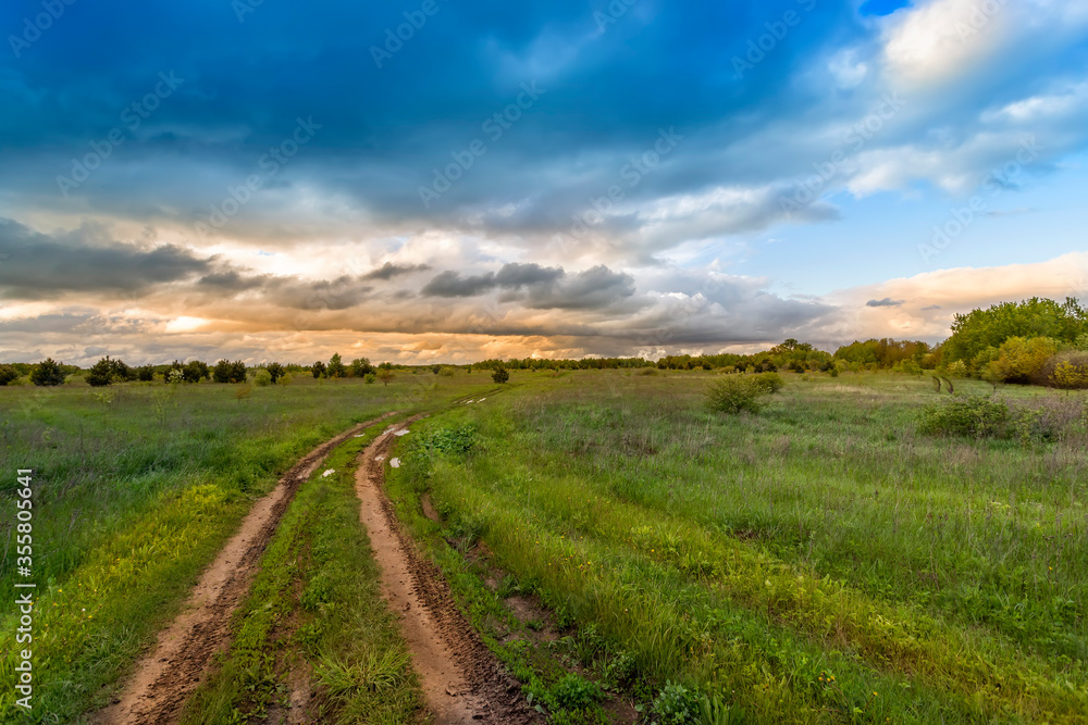 Road in the field among green grass and beautiful sky in the evening.