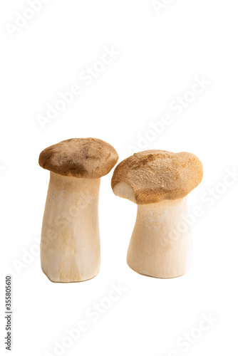 eringi mushrooms isolated