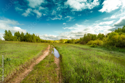 Road in the field among green grass and beautiful sky in the evening.