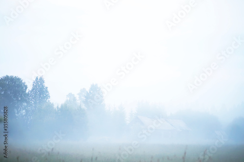 Fog in the field. Evening nature summer with white fog. © alexkich