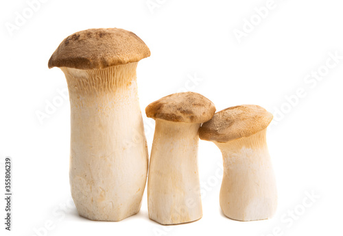 eringi mushrooms isolated