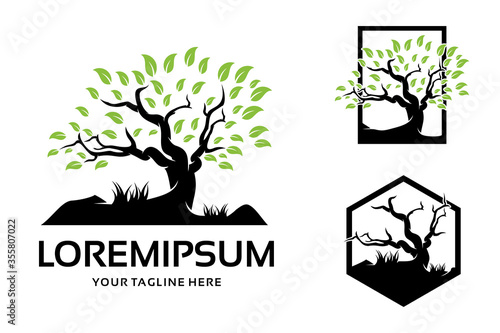 Tree Logo Template Design Inspiration