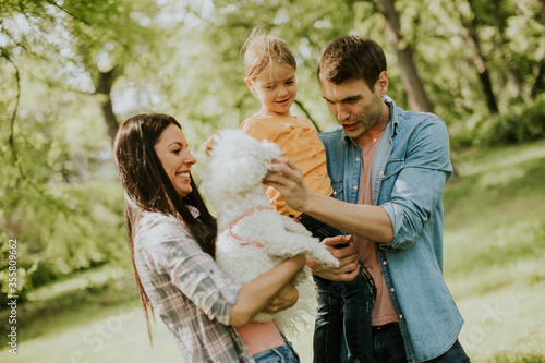 Happy family with cute bichon dog in the park © BGStock72