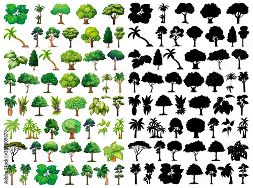 Set of plant and tree with its silhouette