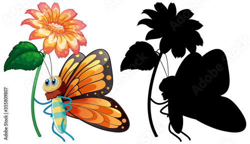Set of butterfly cartoon