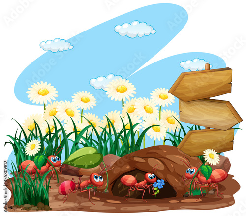 Scene with plants and insects in the garden
