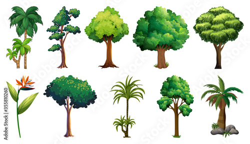 Set of variety plants and trees