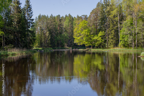 Swedish river and natural salmon area in spring. Farnebofjarden national park in north of Sweden.