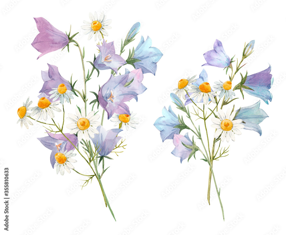 Beautiful set with watercolor gentle summer bluebell and chamomile floral bouquets. Stock illustration.