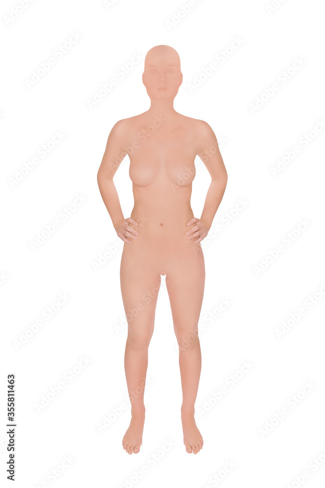 Standing female mannequin, frontal view, isolated in front of white background Standing female mannequin, frontal view, isolated in front of white background