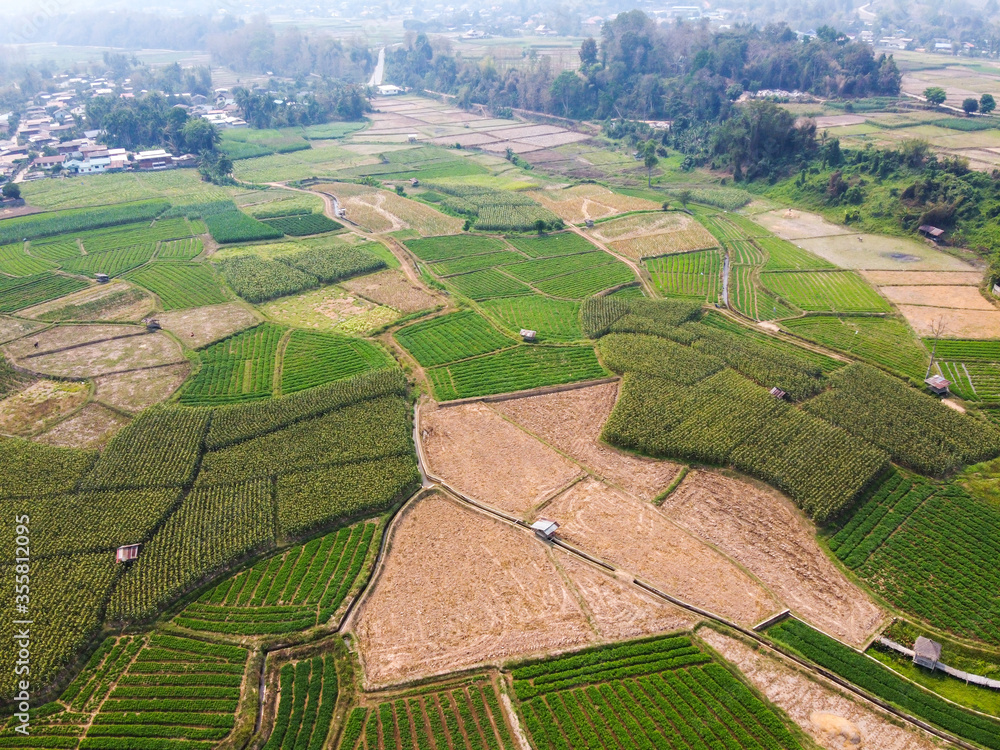 Aerial view from flying drone of Field rice with landscape green pattern nature background,