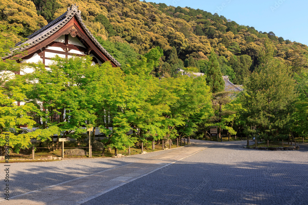 新緑の京都 新緑の京都