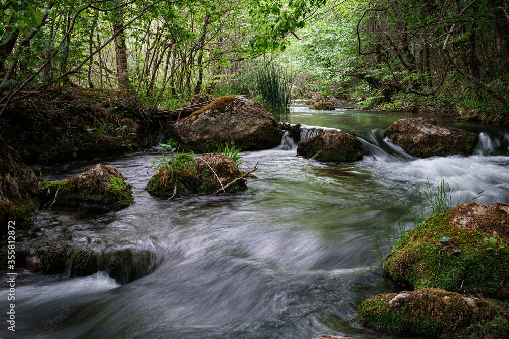 Full-flowing river in a green sunny forest. Full-flowing river in a green sunny forest.
