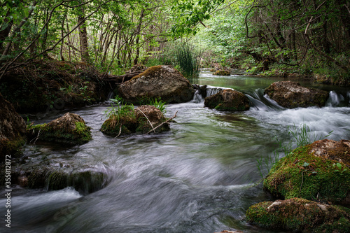 Full-flowing river in a green sunny forest.