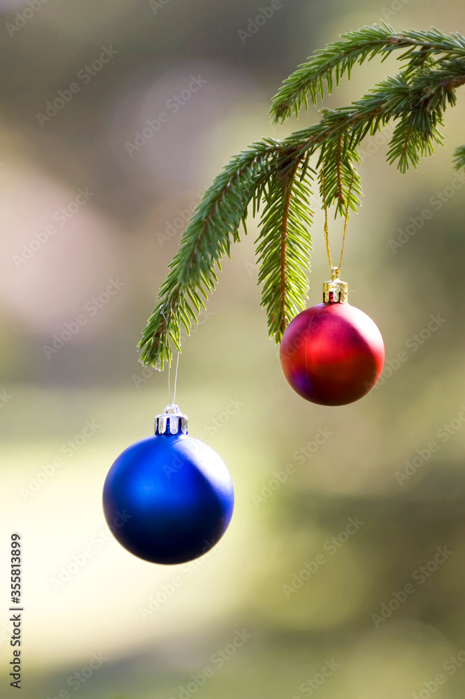 Christmas onament in a spruce tree outside on sunny day Christmas onament in a spruce tree outside on sunny day