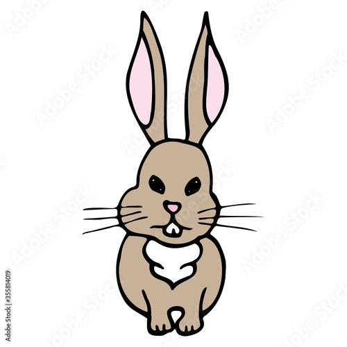 Hand drawn colorful hare. Cartoon color hare outline doodle style. Vector illustration isolated on white background. Decoration for greeting cards, posters, flyers, prints for clothes. © Olena