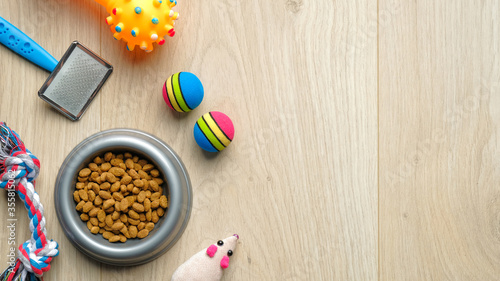 Pet care and training concept. Flat lay composition with bowl of dry food for cat and dog and pet accessories on wooden table.