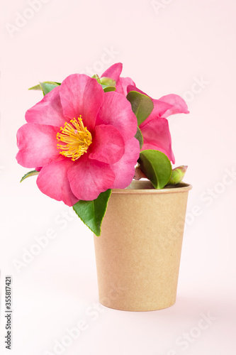 Coffee cup with a flower as a concept of natural source disposable utensils.