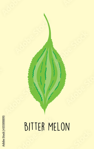 bitter melon vector